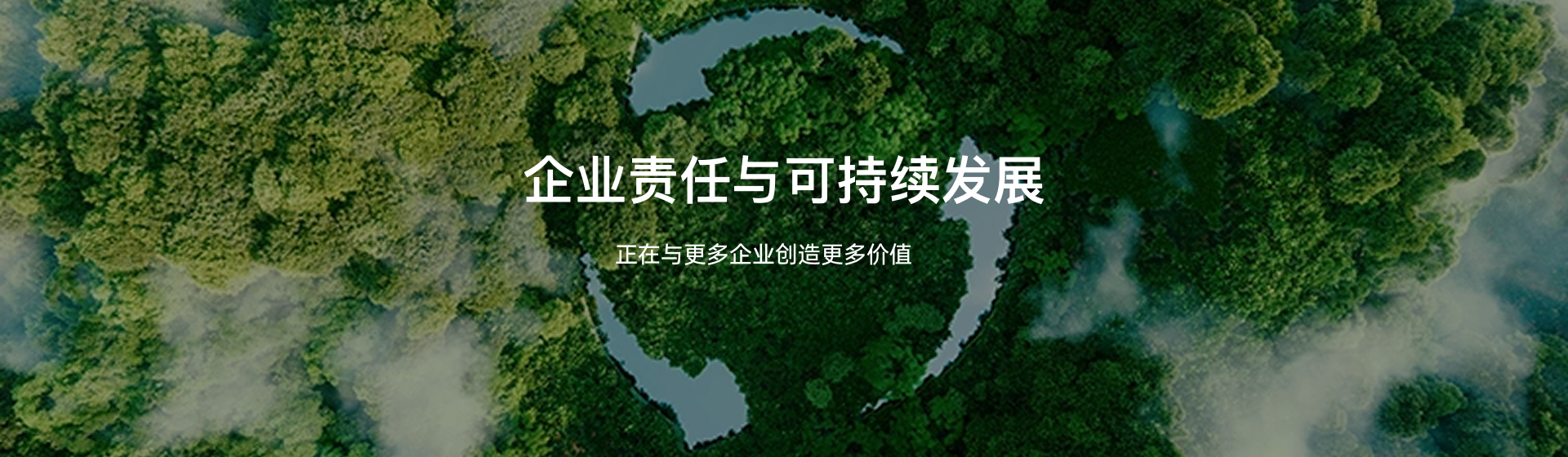 企业责任与可持续发展